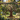 Metal tree of life wall decor hanging on a wooden garden fence surrounded by climbing ivy