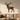 Large iron deer wall sculpture above a sofa in a living room