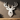 Metal deer head sculpture on a dark wall