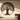 Metal tree of life wall art above a porch bench, sunlight casting leaf shadows across the floorboards