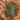 Palm leaf metal wall art on brick patio