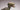 Detailed close-up of a realistic dinosaur toy figurine with open mouth and intricate texture.