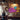 Bar Neon Wall Art - Image 5