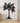 Palm Tree Entryway Metal Coat Rack – Modern Tropical Decor
