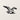 Front view of the low poly seagull