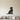 Black Seated Labrador Glancing Aside Metal Wall Art on a light wall
