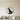 Black steel Labrador retriever sitting in profile inside a round ring