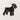Front view of the schnauzer silhouette with beard and brow details