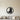 Yorkshire terrier with a hair bow as metal wall art inside a round ring